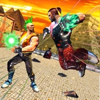 功夫空手道游戏ios版