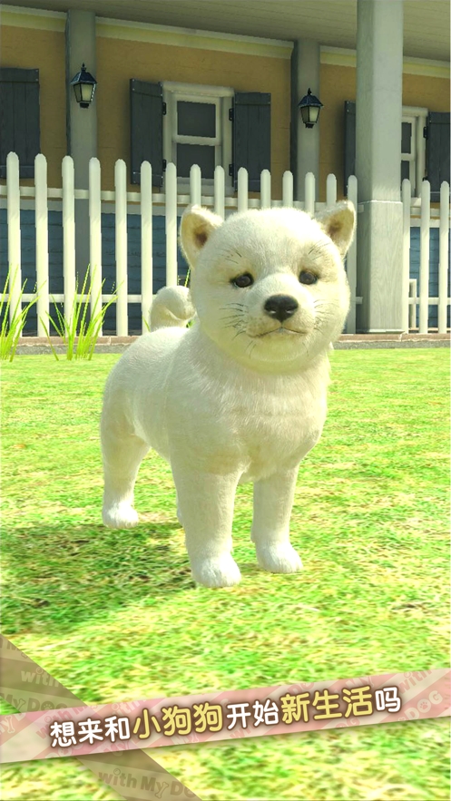 我的梦中情狗ios版0