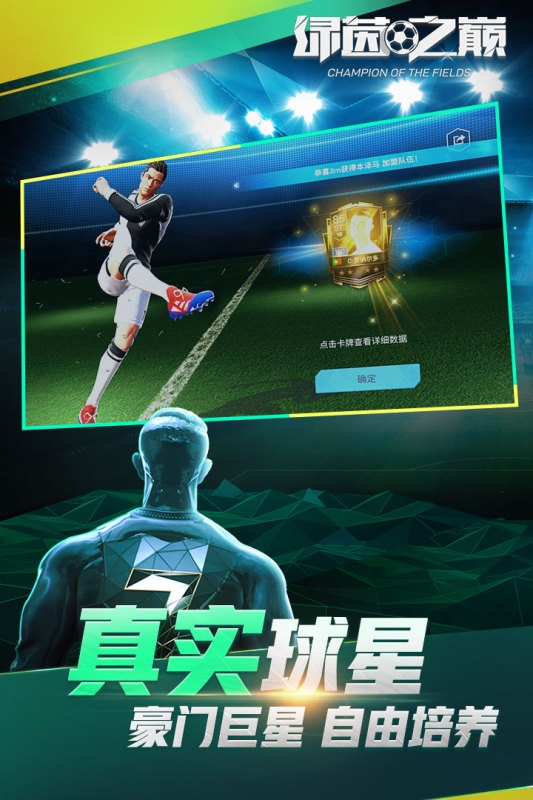 绿茵之巅网易版3