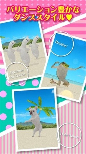 一个跳舞的羊驼0