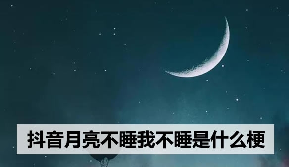 抖音月亮不睡我不睡是什么梗 下一句该怎么接你会吗？