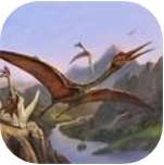 风神翼龙模拟器