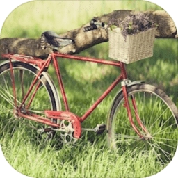 3D模拟自行车越野