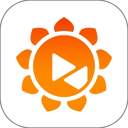 向日葵远程控制专业版