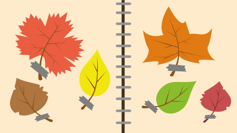 Forest Camp. Tourist vacationios版3