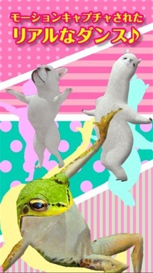 一个跳舞的羊驼1