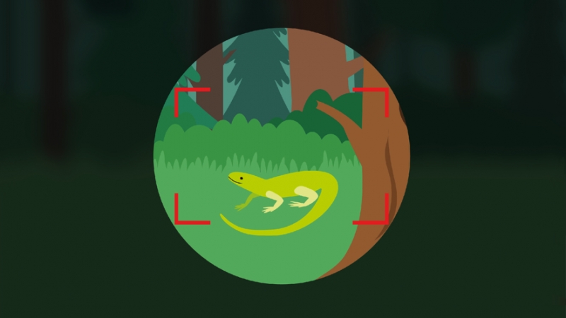 Forest Camp. Tourist vacationios版2