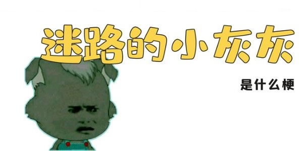 迷路的小灰灰是什么梗 迷路的小灰灰表情图片