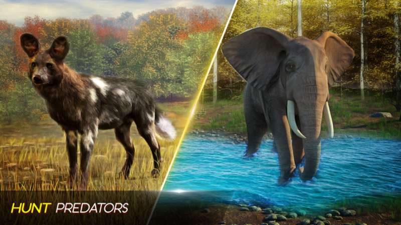 3D鹿狙击猎人2021ios版1