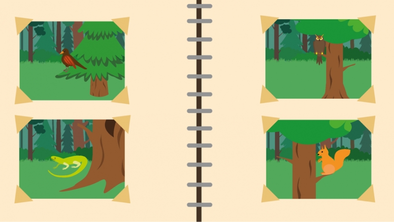 Forest Camp. Tourist vacationios版4