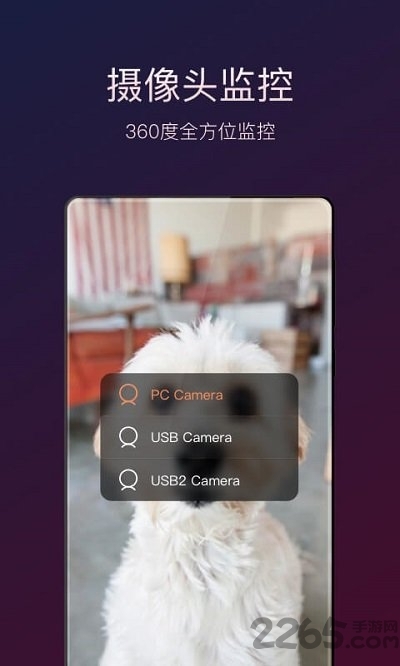 向日葵远程控制专业版2