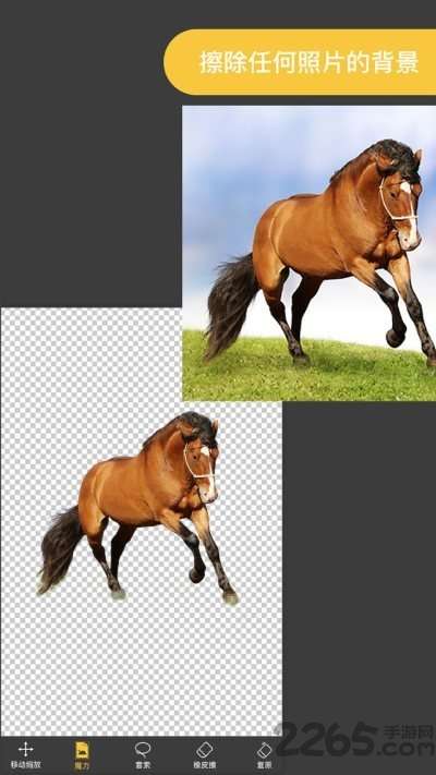 proknockout智能抠图1