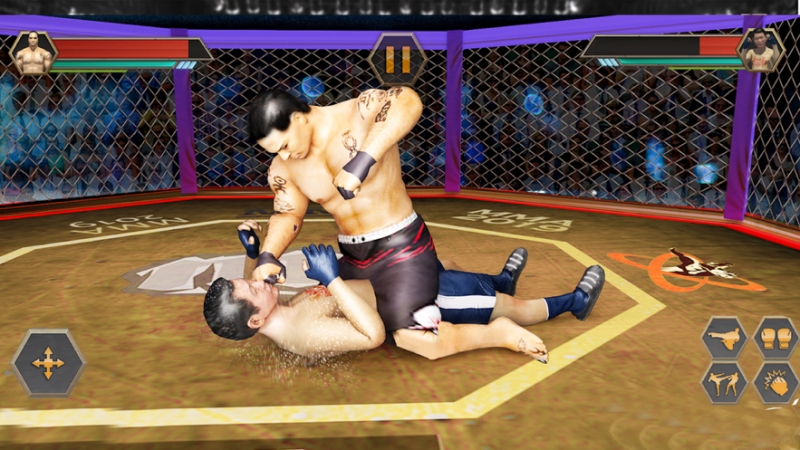 职业摔跤功夫格斗ios版3