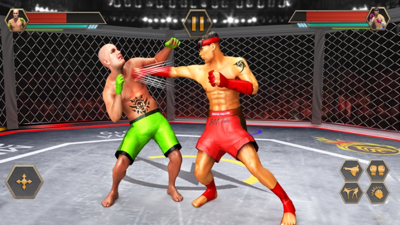 职业摔跤功夫格斗ios版0