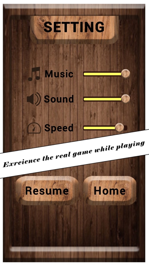 Chinese Checkers NSios版2