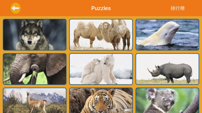 动物经典派舞会ios版3