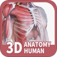 人体解剖3D