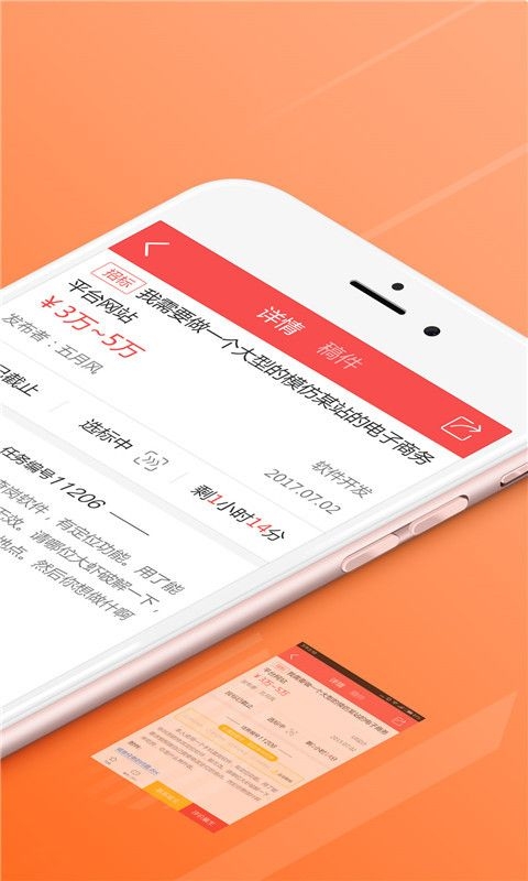 一品威客接单助手1