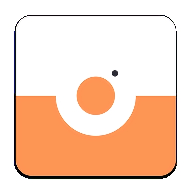 宝丽来滤镜相机