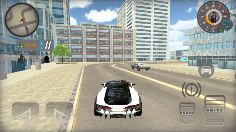 Police Chase Real Cop Driverios版3