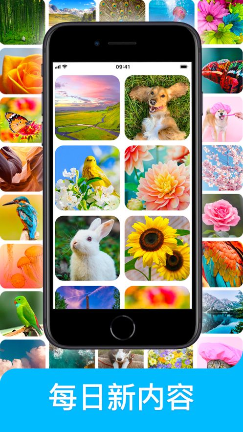 Jigsaw puzzle 游戏ios版1