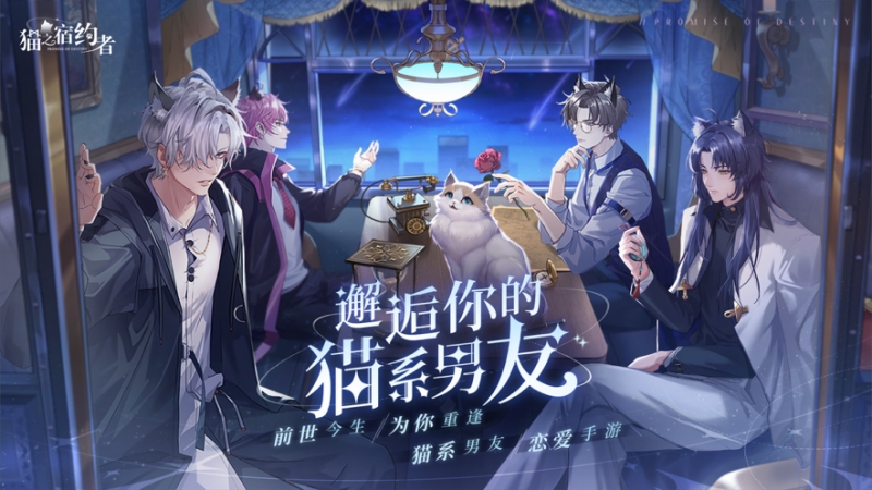 猫之宿约者ios版0