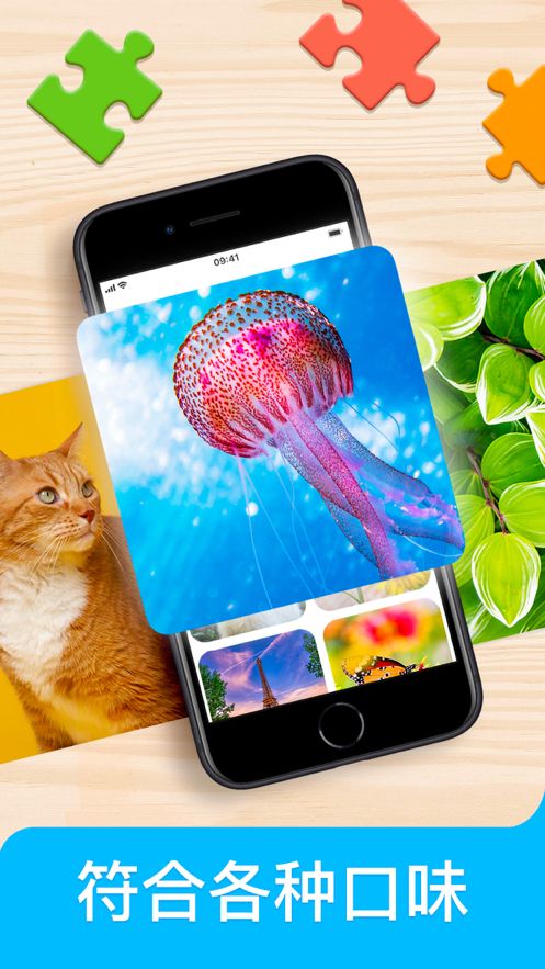 Jigsaw puzzle 游戏ios版3