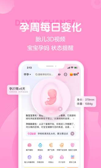 妈妈网孕育官方版1