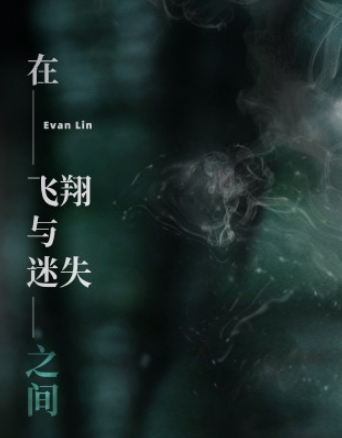 林彦俊新歌《在飞翔与迷失之间》歌词是什么