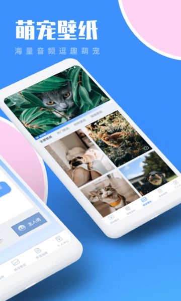 猫咪翻译助手手机版2