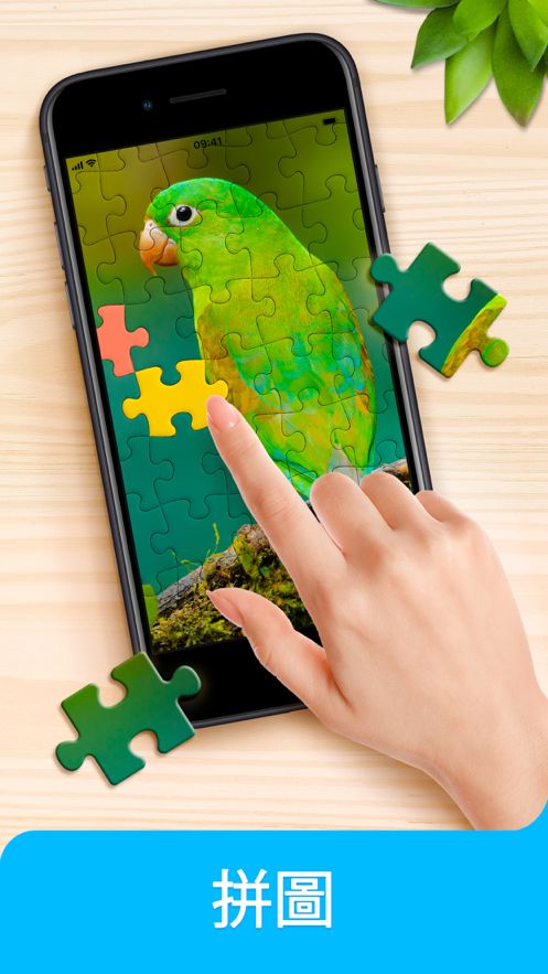 Jigsaw puzzle 游戏ios版0