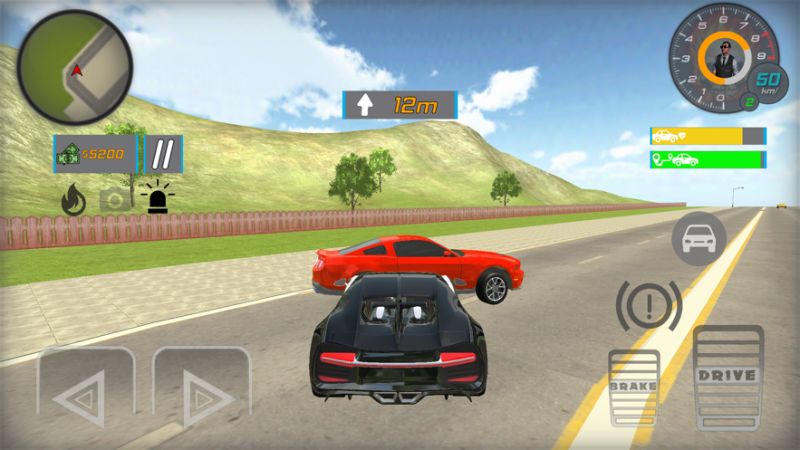 Police Chase Real Cop Driverios版4