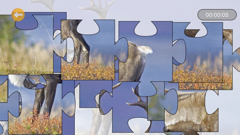 动物经典派舞会ios版4