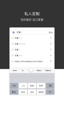 绿叶浏览器0