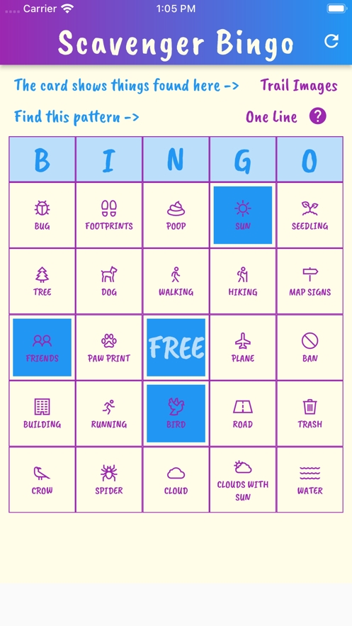 Scavenger Hunt Bingoios版4