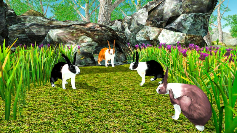 My Bunny Rabbit Life Simulatorios版0