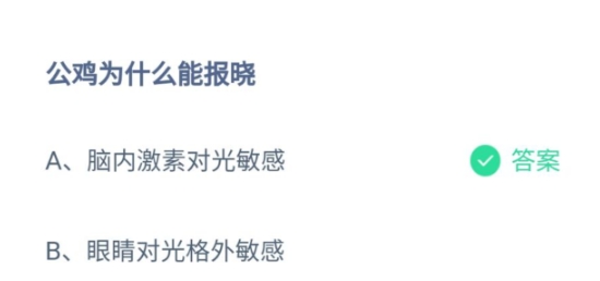 公鸡为什么能报晓 蚂蚁庄园10月9日答案解析