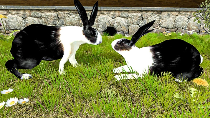 My Bunny Rabbit Life Simulatorios版1