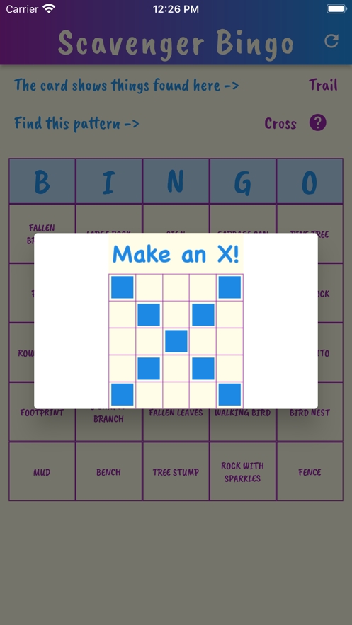 Scavenger Hunt Bingoios版6