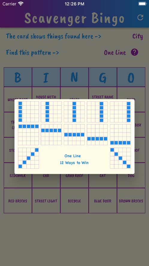 Scavenger Hunt Bingoios版5