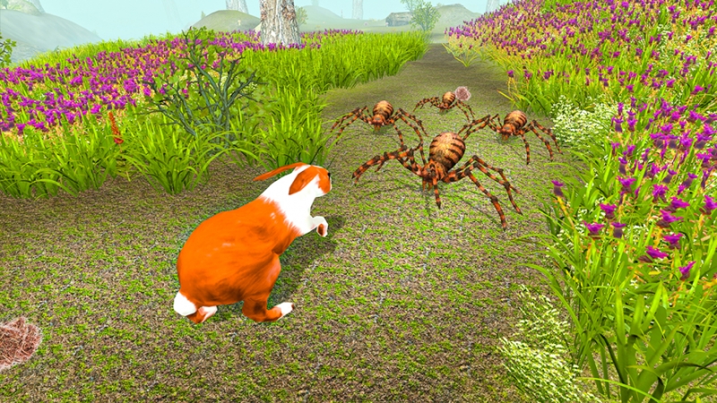 My Bunny Rabbit Life Simulatorios版3