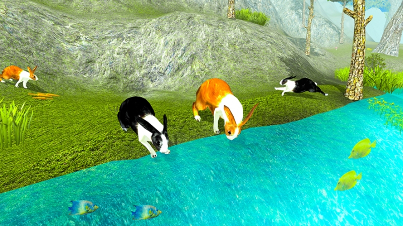 My Bunny Rabbit Life Simulatorios版2