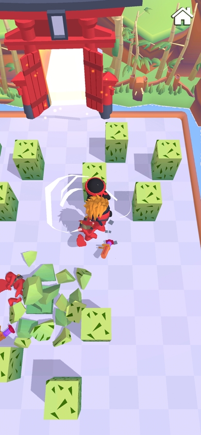 Ronin Destinyios版1