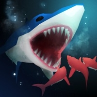 Shark Festios版