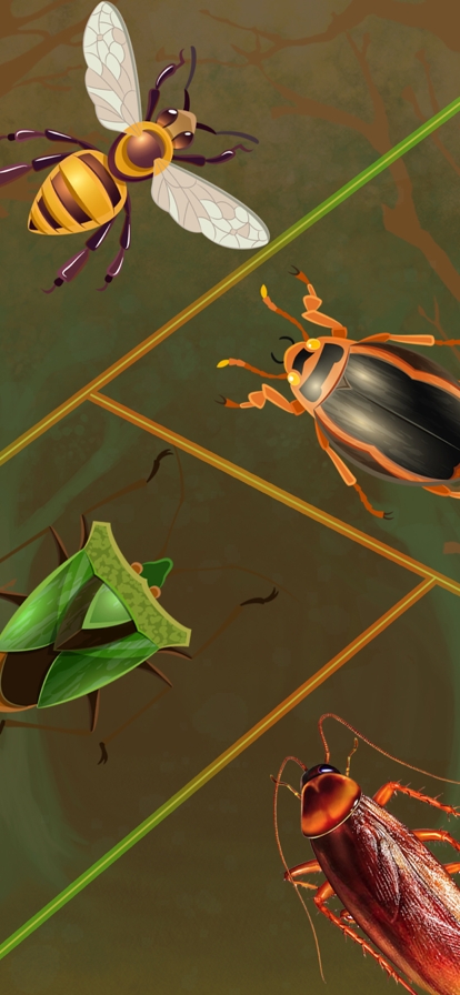 Merge Insects 3D DNA Mutantios版2