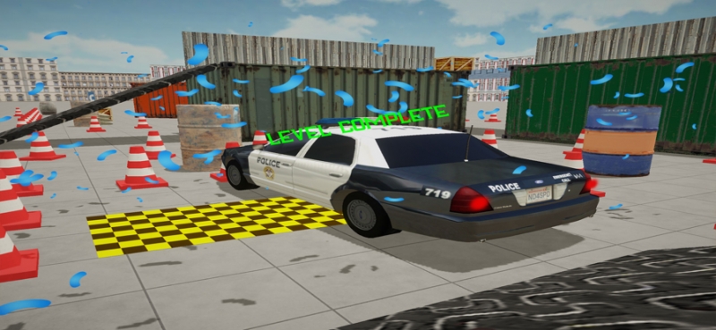 停车乐趣:驾驶考试ios版1