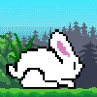 Jolly Bunny Adventure Foreverios版