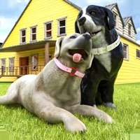 孕犬宠物护理：我的小狗ios版