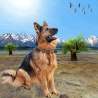 Shepherd Dog:Wild Animal Gameios版