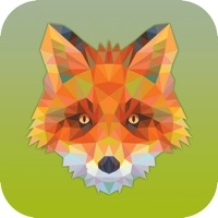 мetaмasк Jungle Vosios版